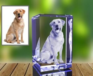 sympathy gifts for dogs